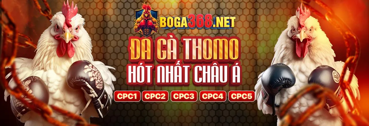 Liên hệ bộ phận hỗ trợ kkwin00 về chính sách bảo mật